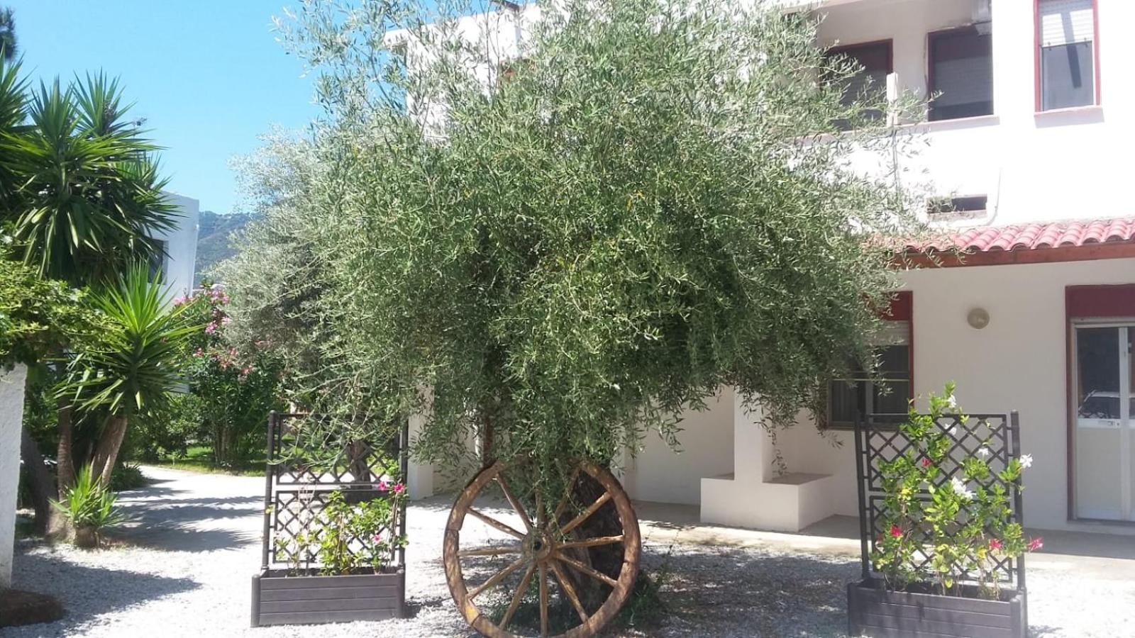 Appartamenti La Baia Del Rais Falcone Szoba fotó